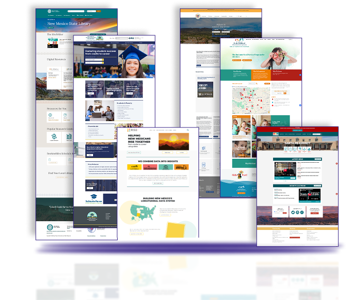 Examples of government websites designed by Xynergy