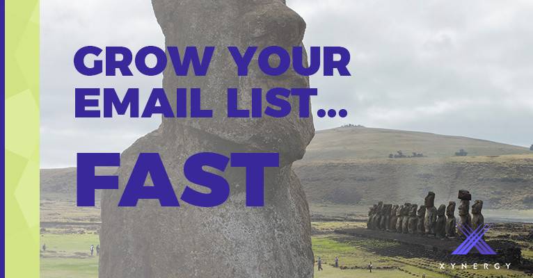 5 Ways to Grow Your Email List by 25% -  Fast